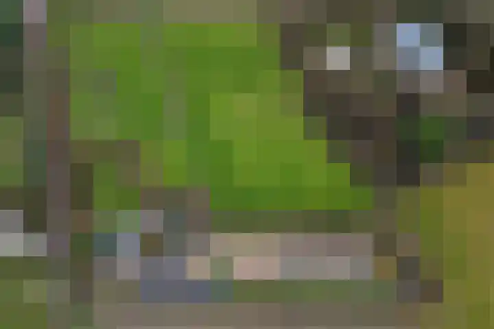 Sliklandseweg 3 Rockanje thumbnail 61