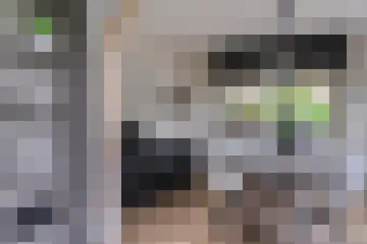 Slikslee 17 Goudswaard thumbnail 24