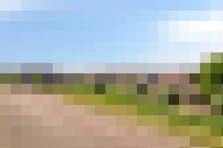 Slikslee 17 Goudswaard thumbnail 64
