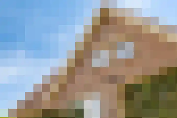 Slikslee 17 Goudswaard thumbnail 7