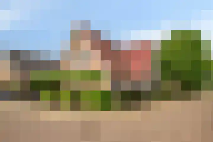 Slikslee 17 Goudswaard thumbnail 72