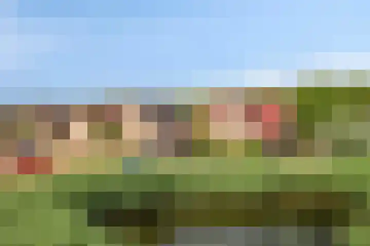 Slikslee 17 Goudswaard thumbnail 8