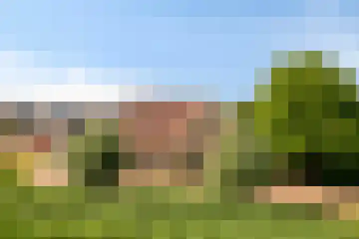 Slikslee 17 Goudswaard thumbnail 9