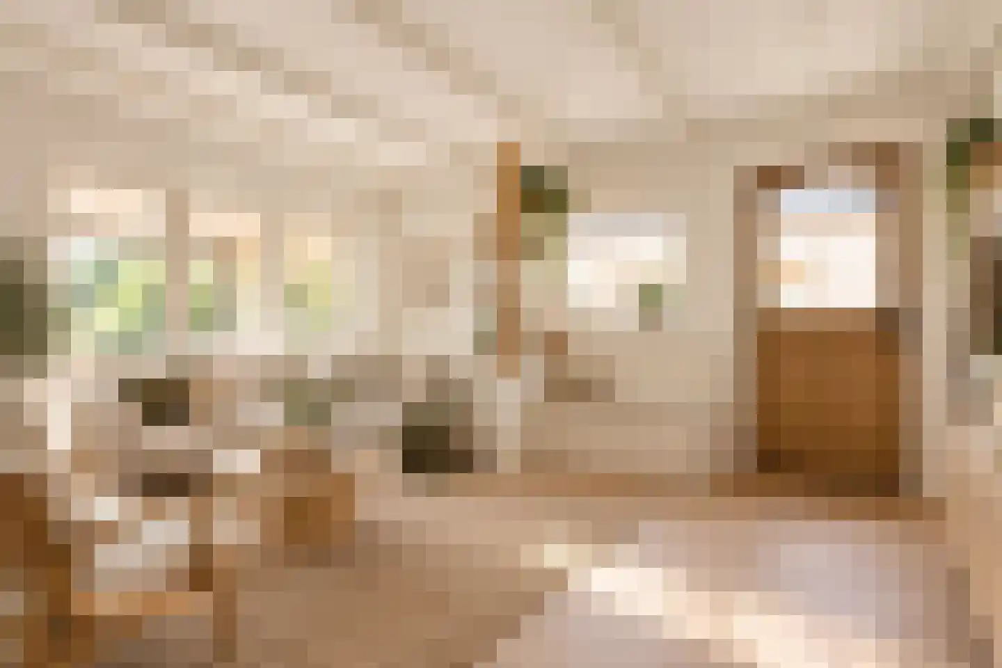 Slikstraat 16 Hoeven thumbnail 35