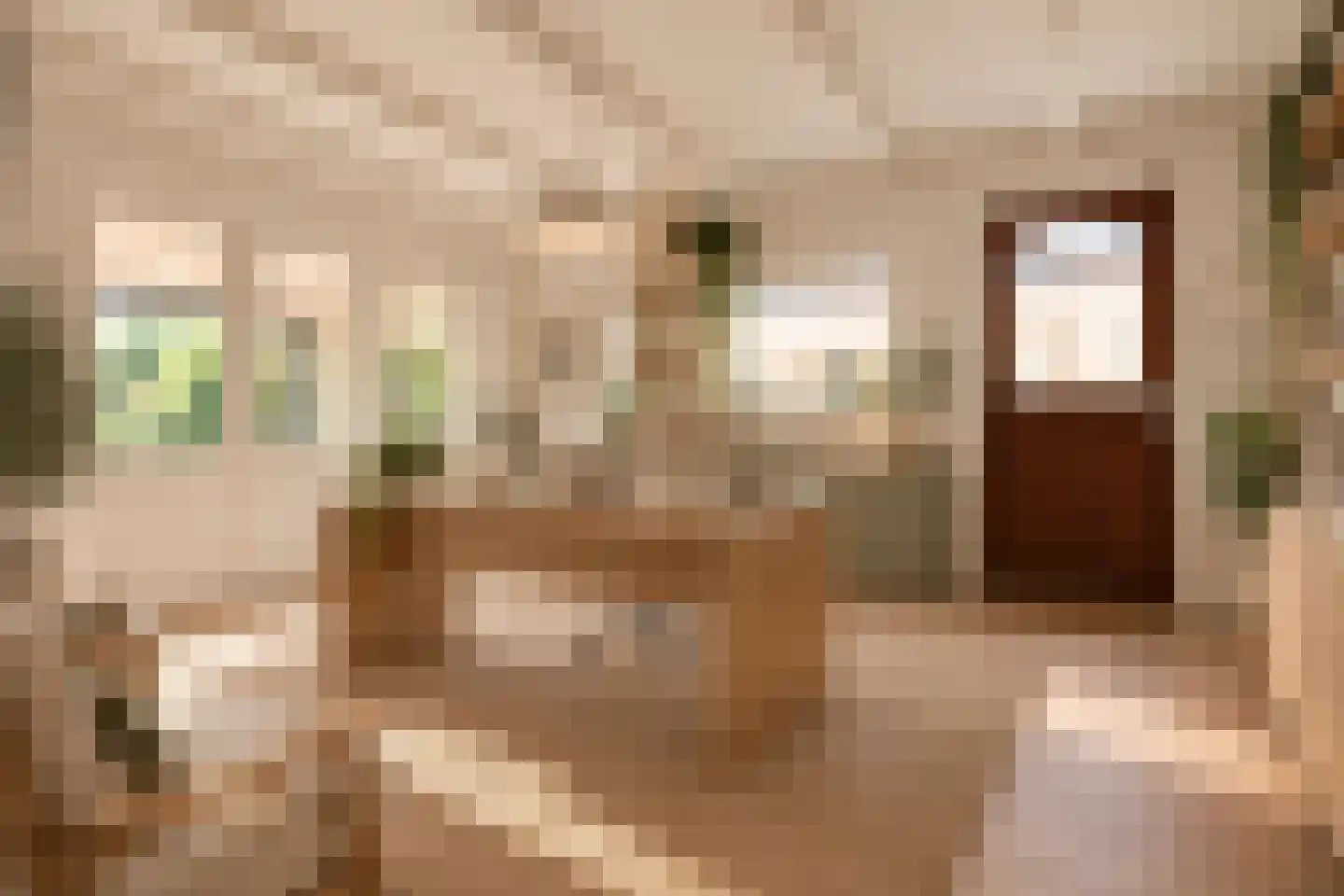 Slikstraat 16 Hoeven thumbnail 36