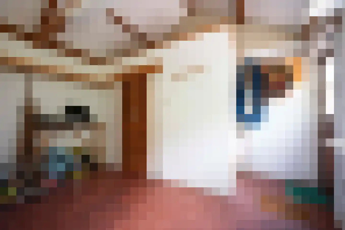 Slikstraat 16 Hoeven thumbnail 38
