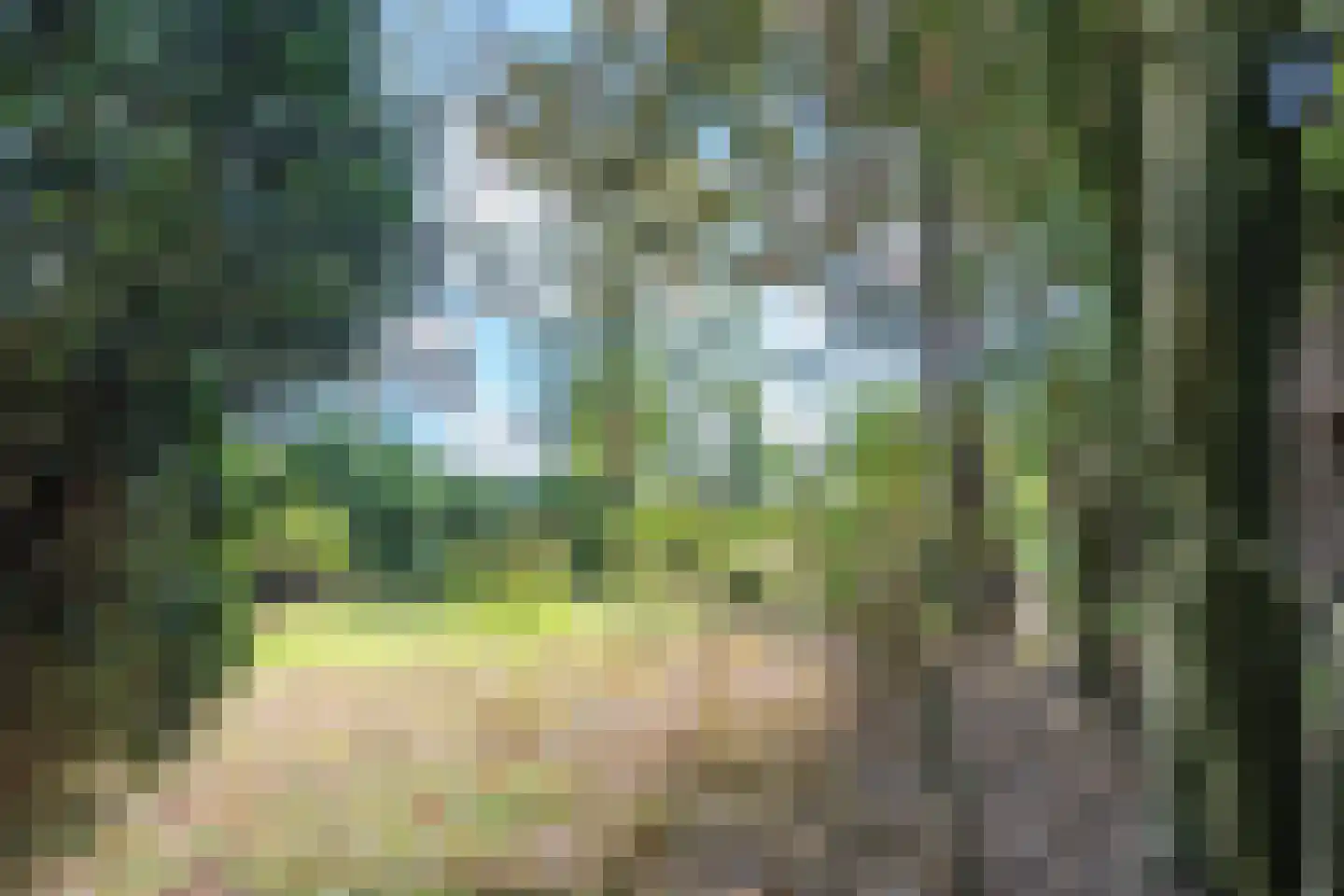 Slikstraat 16 Hoeven thumbnail 43