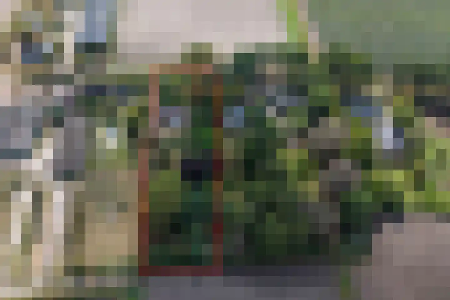 Slikstraat 16 Hoeven thumbnail 8