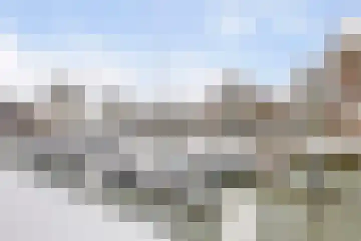 Slikveld 44 Dordrecht thumbnail 33