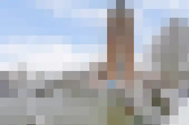 Slikveld 44 Dordrecht thumbnail 34