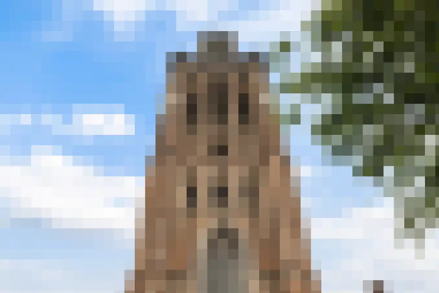 Slikveld 6 Dordrecht thumbnail 40