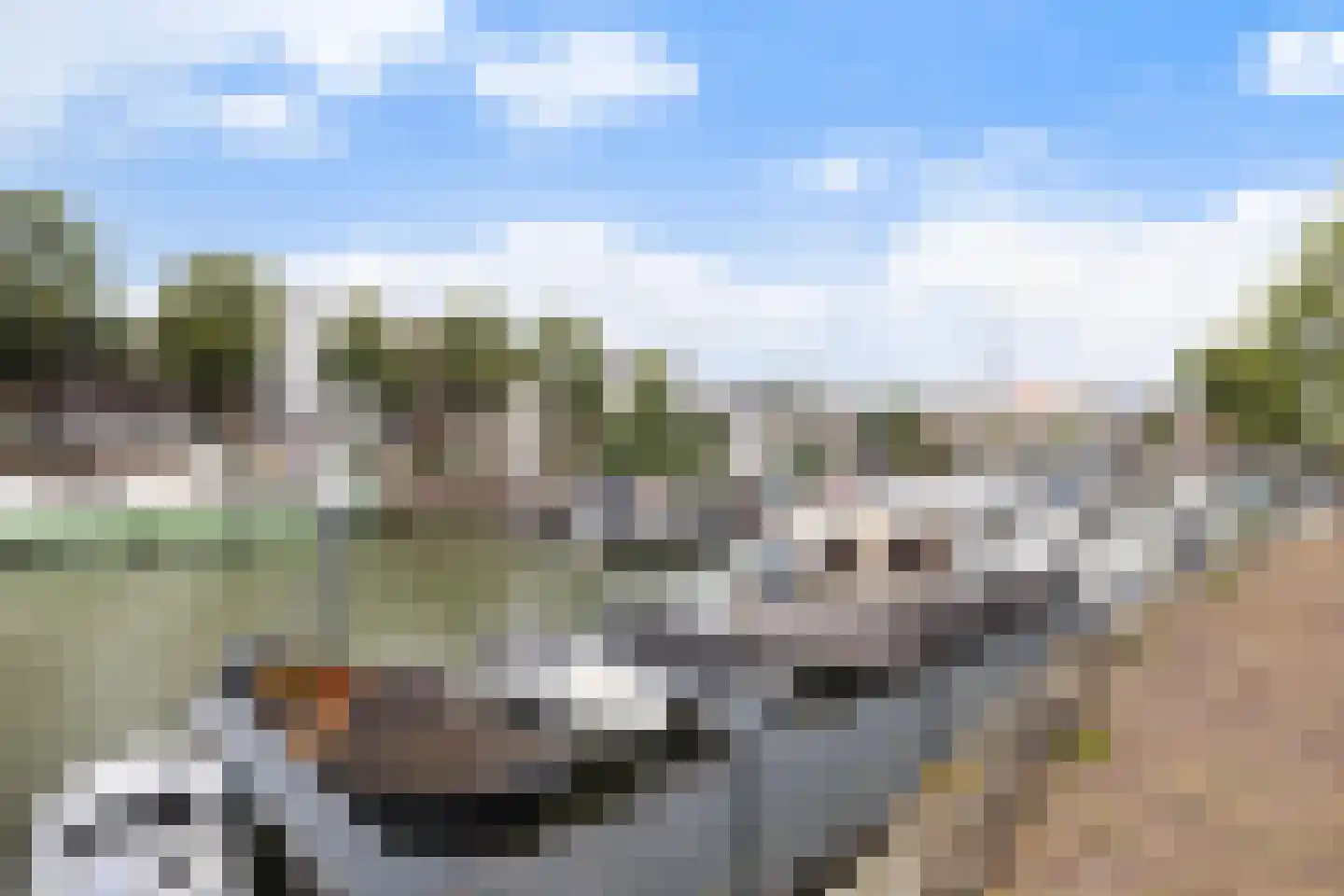 Slikveld 6 Dordrecht thumbnail 44