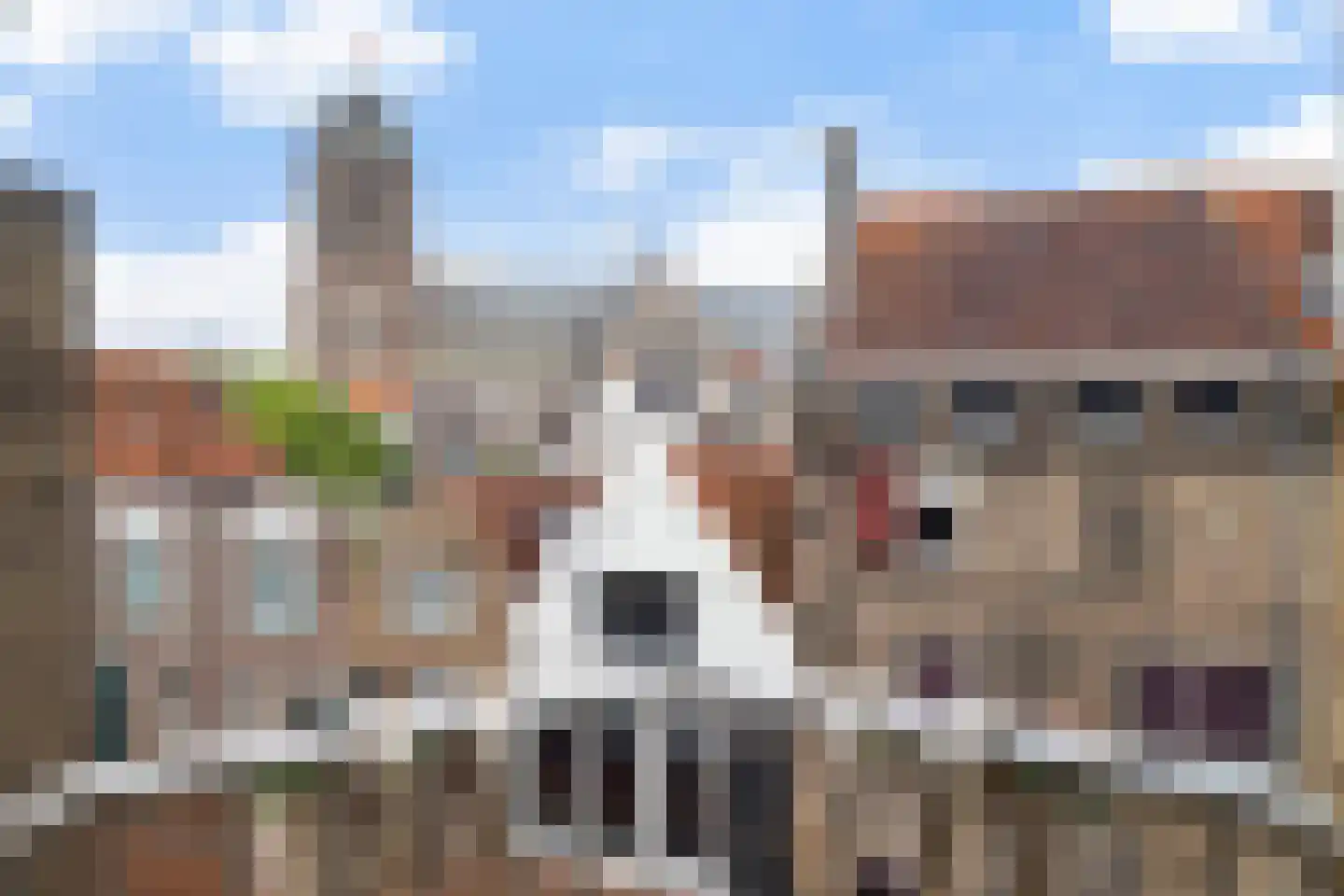 Slikveld 6 Dordrecht thumbnail 5