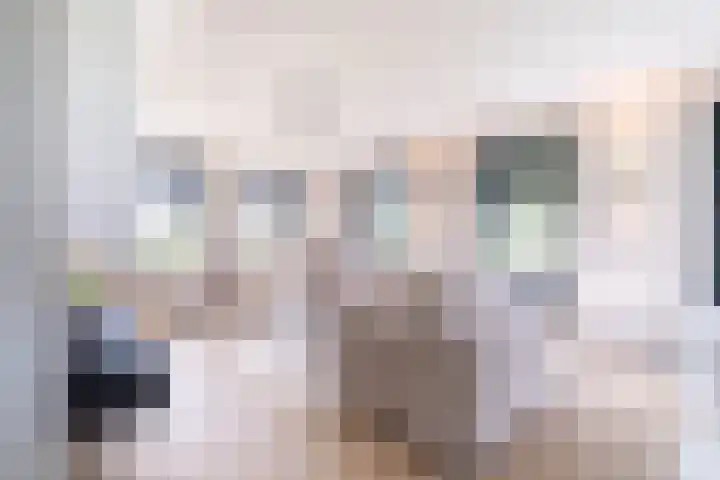 Slikveld 8 Rockanje thumbnail 13
