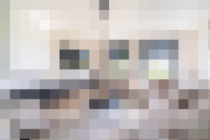 Slikveld 8 Rockanje thumbnail 14