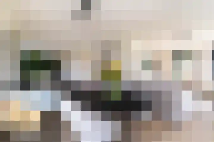 Slikveld 8 Rockanje thumbnail 16