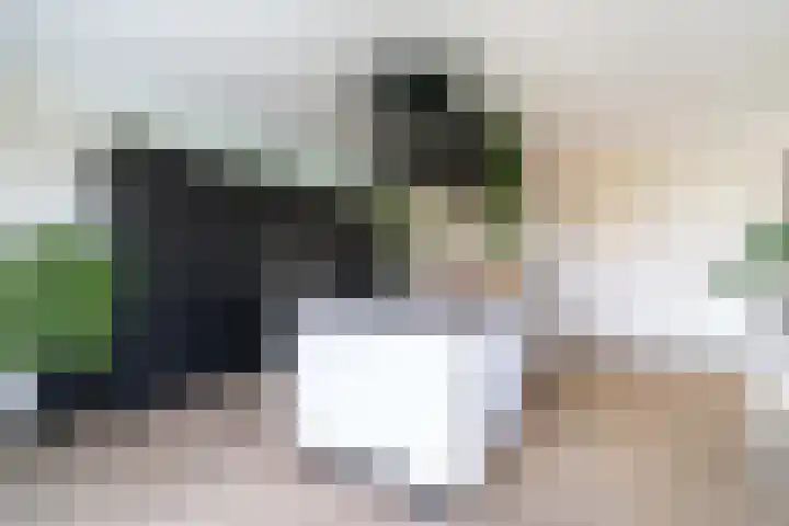 Slikveld 8 Rockanje thumbnail 21