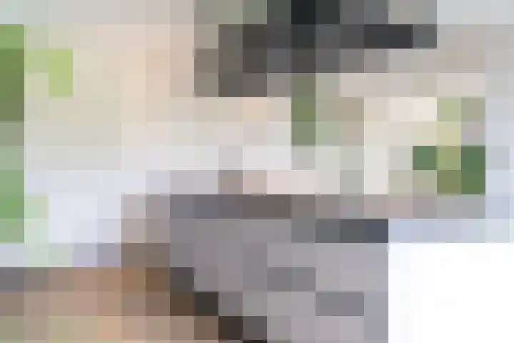 Slikveld 8 Rockanje thumbnail 22