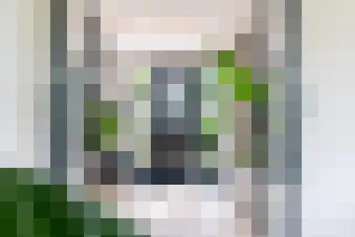 Slikveld 8 Rockanje thumbnail 28