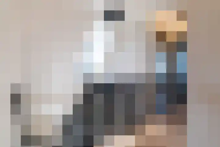 Slikveld 8 Rockanje thumbnail 30