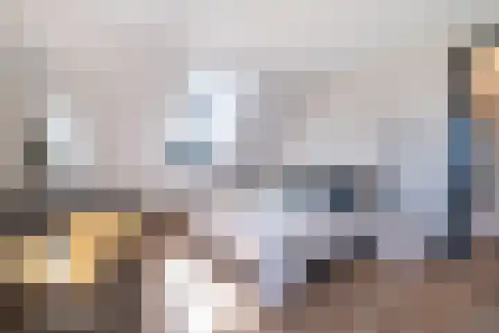Slikveld 8 Rockanje thumbnail 35