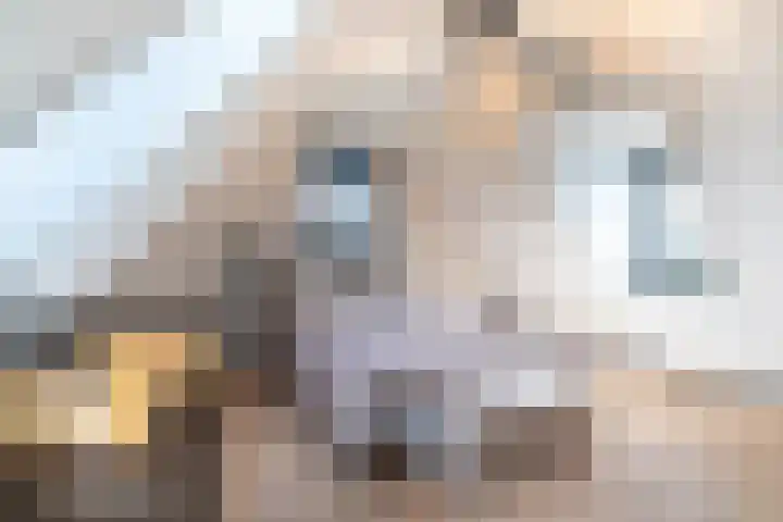 Slikveld 8 Rockanje thumbnail 38