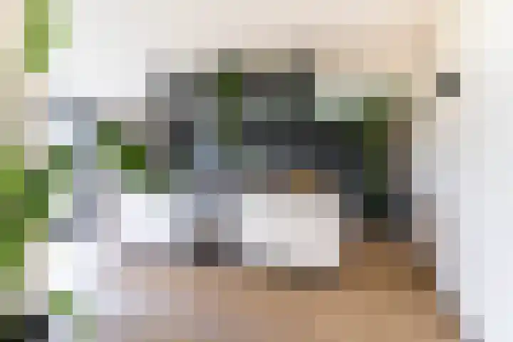 Slikveld 8 Rockanje thumbnail 4