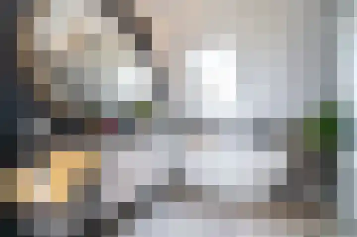 Slikveld 8 Rockanje thumbnail 45