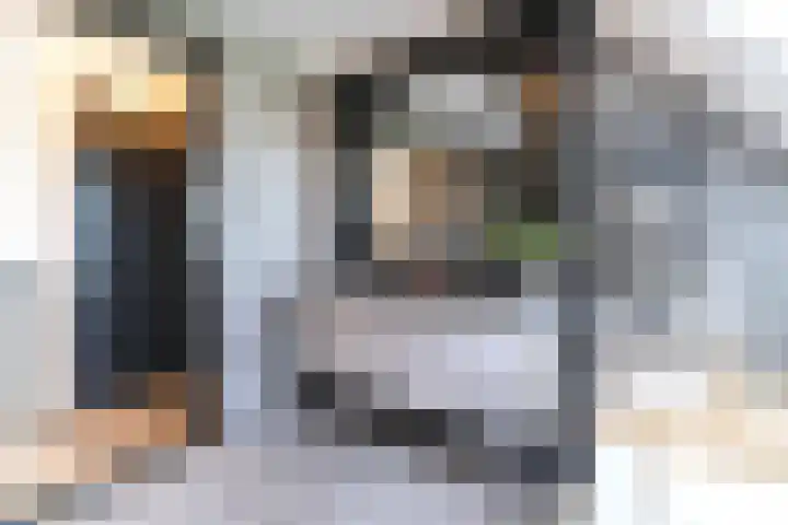 Slikveld 8 Rockanje thumbnail 47