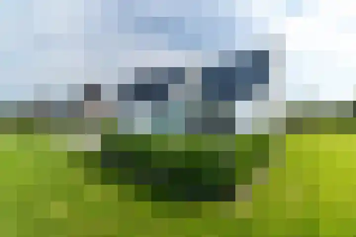 Slikveld 8 Rockanje thumbnail 50