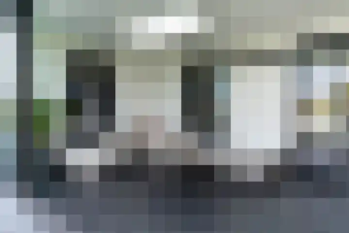 Slikveld 8 Rockanje thumbnail 51