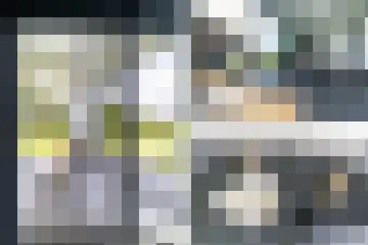 Slikveld 8 Rockanje thumbnail 52
