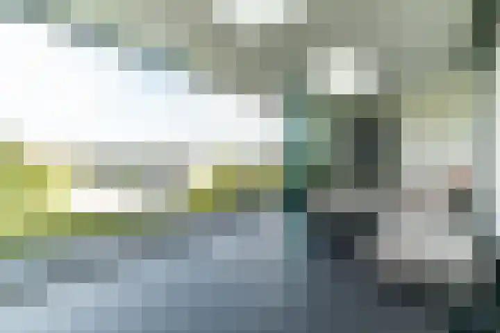 Slikveld 8 Rockanje thumbnail 53