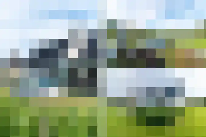 Slikveld 8 Rockanje thumbnail 55