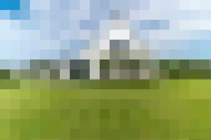 Slikveld 8 Rockanje thumbnail 56