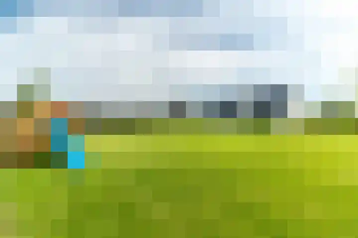 Slikveld 8 Rockanje thumbnail 59