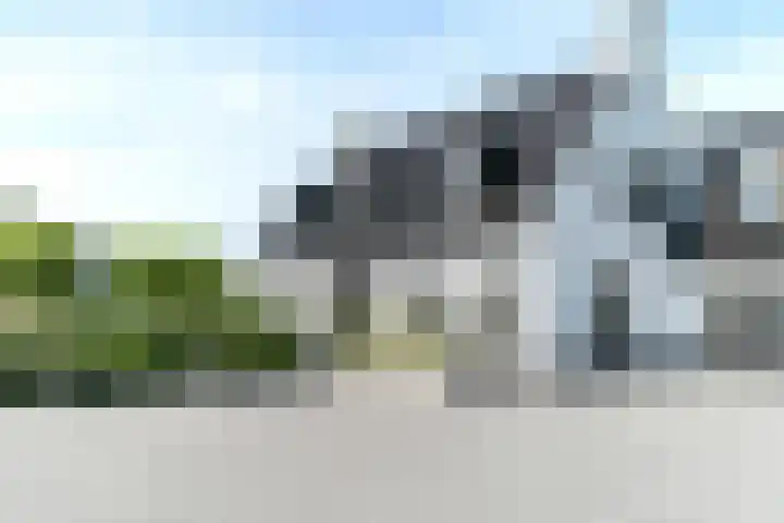 Slikveld 8 Rockanje thumbnail 6
