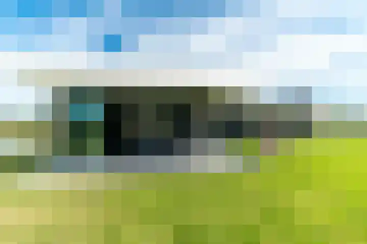 Slikveld 8 Rockanje thumbnail 61