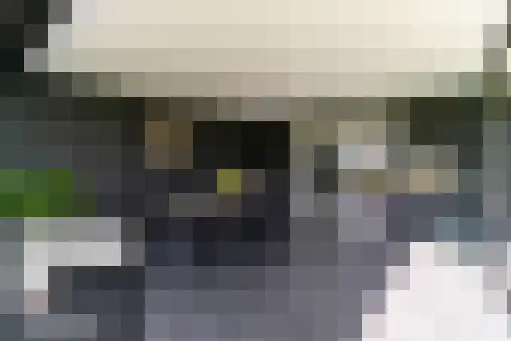 Slikveld 8 Rockanje thumbnail 62