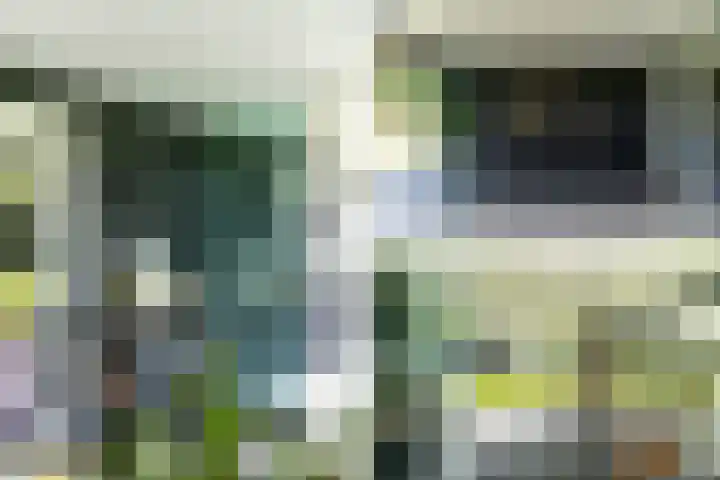 Slikveld 8 Rockanje thumbnail 63