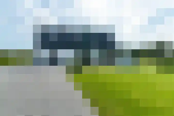 Slikveld 8 Rockanje thumbnail 65
