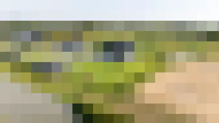 Slikveld 8 Rockanje thumbnail 68