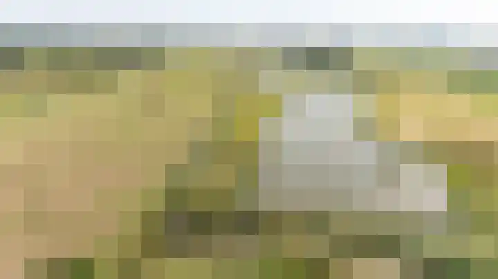 Slikveld 8 Rockanje thumbnail 71