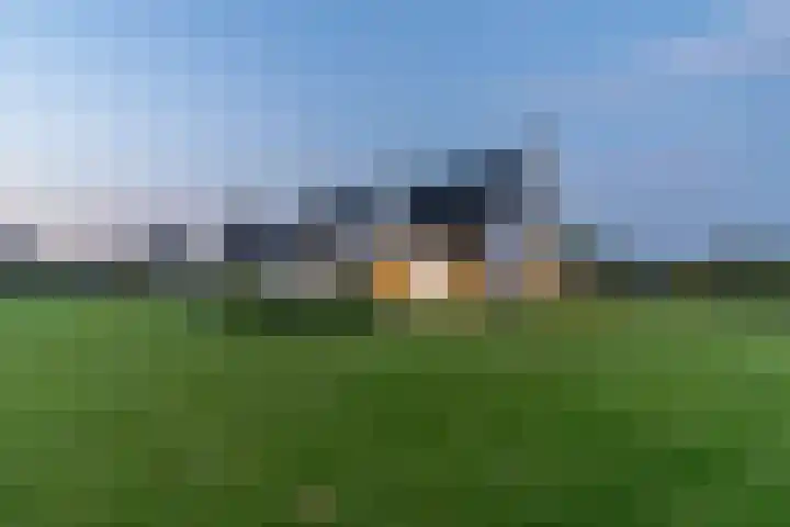 Slikveld 8 Rockanje thumbnail 76