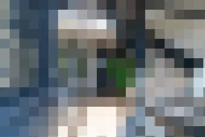 Slikveld 8 Rockanje thumbnail 8