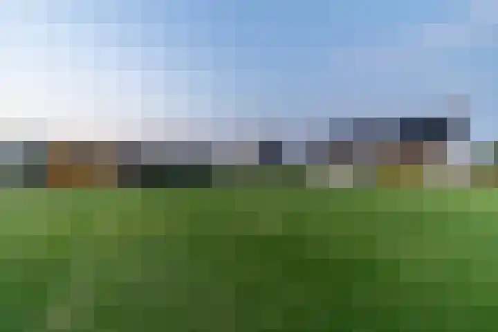 Slikveld 8 Rockanje thumbnail 85
