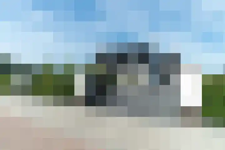 Slikveld 8 Rockanje thumbnail 94