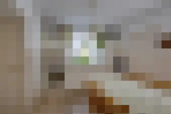 Slimstraat 115 Udenhout thumbnail 14
