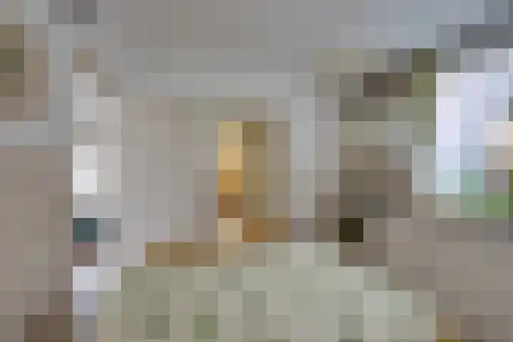 Slimstraat 115 Udenhout thumbnail 16