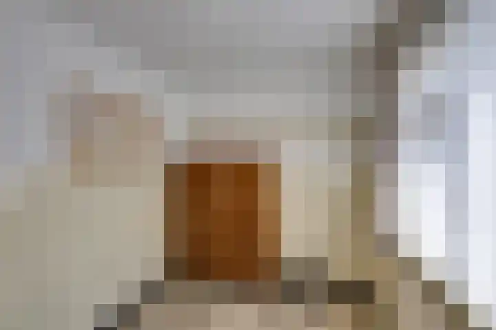 Slimstraat 115 Udenhout thumbnail 20